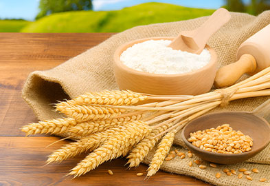 친환경 빵 생산 판매사업1